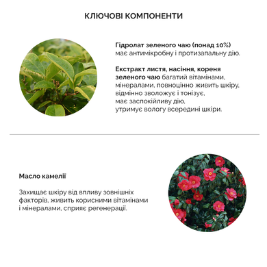 Уцінка Очищаюча пінка з зеленим чаєм Benton Green Tea Foam, 120 мл Купити в Україні