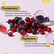 Стартова есенція з ресвератролом та екстрактом журавлини Dr.Ceuracle Vegan Active Berry First Essence, тестер 2 мл 8806133615775 фото 7