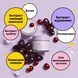 Ліфтинг крем-гель з ресвератролом та екстрактом журавлини Dr.Ceuracle Vegan Active Berry Lifting Cream, Тестер 2 мл 8806133615782 фото 4
