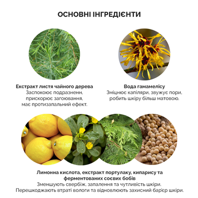 Есенція з екстрактом чайного дерева Dr.Ceuracle Tea Tree Purifine 95 Essence, 50 мл Купити в Україні