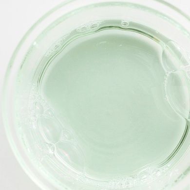 Відлущувальний тонер з екстрактом зеленої сливи та AHA і BHA кислотами Beauty of Joseon Green Plum Refreshing Toner: AHA + BHA, 150 мл на KRKR.COM.UA