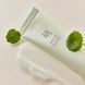 Освітлювальна сироватка з центеллою та вітаміном С Beauty of Joseon Light On Serum Centella+Vita C, 30 мл на KRKR.COM.UA, фото 3