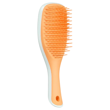 Щітка для волосся Tangle Teezer The Ultimate Detangler Mini Ice and Sweet Orange, 1 шт на KRKR.COM.UA