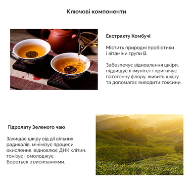 Набір "Dr.Ceuracle Vegan Kombucha Holiday Set" Купити в Україні
