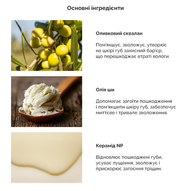 Зволожуючий бальзам для губ з екстрактом комбучи Dr.Ceuracle Vegan Kombucha Tea Lip Balm Купити в Україні