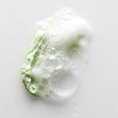 Уценка Мягкий очищающий гель для умывания с матча House of Hur Matcha Gentle Clearing Face Wash, 150 мл на KRKR.COM.UA